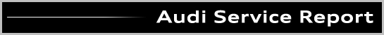 Audi Service Report